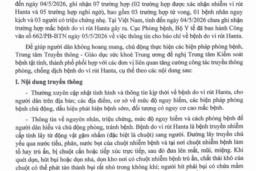 Tăng cường công tác truyền thông phòng chống dịch bệnh do virut Hanta