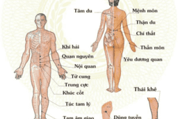 Cấy chỉ điều trị hen phế quản: Hiệu quả, an toàn không cần thuốc